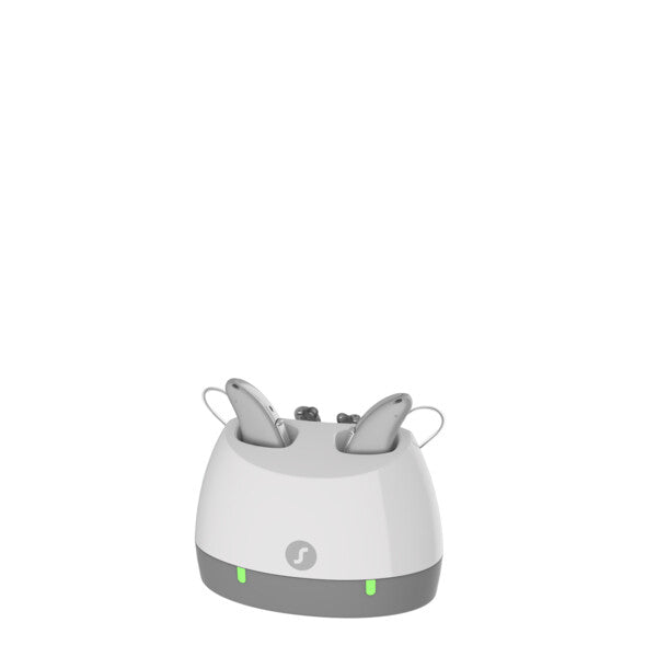 Standaard lader/charger RIC Signia