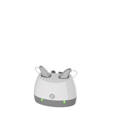 Standaard lader/charger RIC Signia